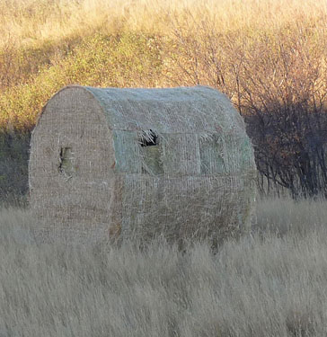 blind ambition hay bale