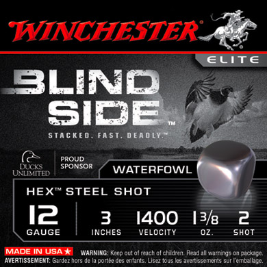 winchester blind side