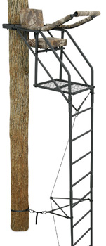 Ameristep Ladder Stand