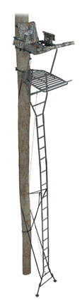 ameristep ladder stand