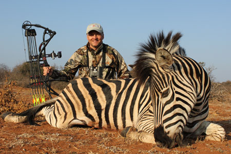 africa zebra hunting