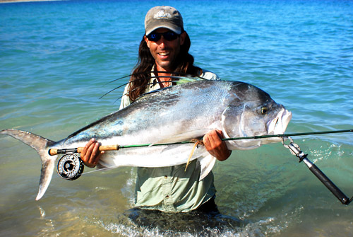 roosterfish world record
