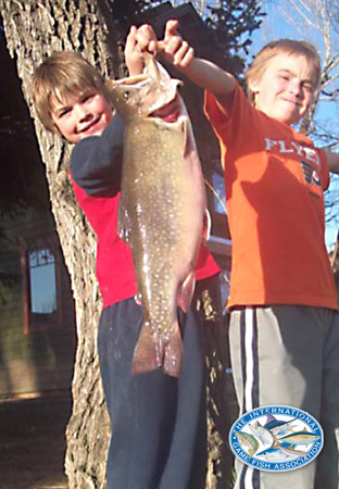 brook trout world record