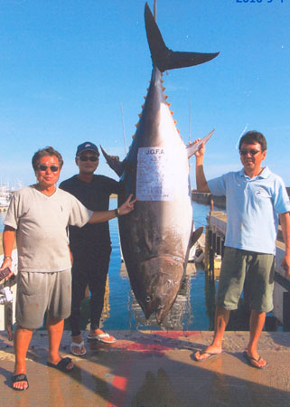 pacific bluefin tuna