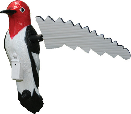 mojo woodpecker
