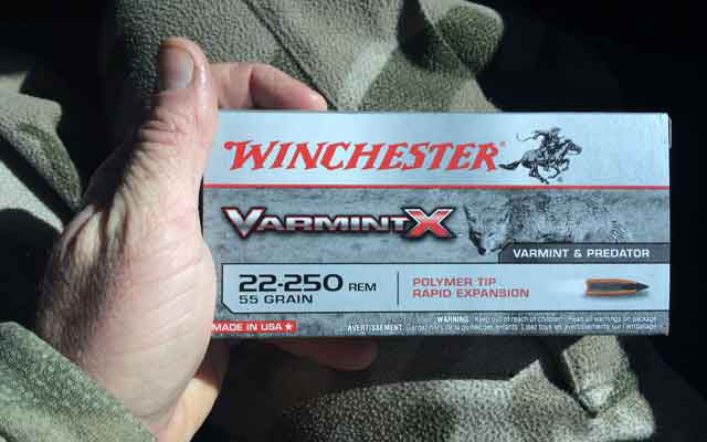 Winchester Varmint