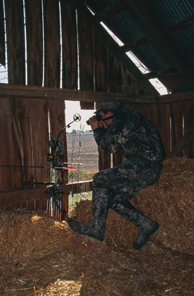 predator hunting barns