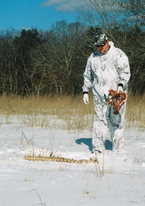 coyote hunting baiting