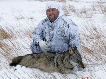 coyote hunting baiting