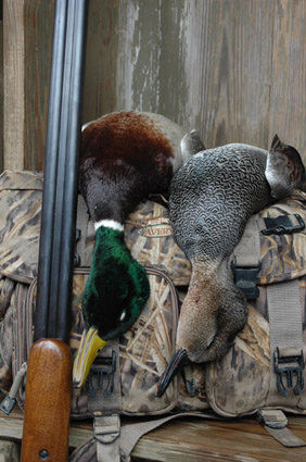 pass shooting duck hunting