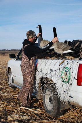 tough goose hunting
