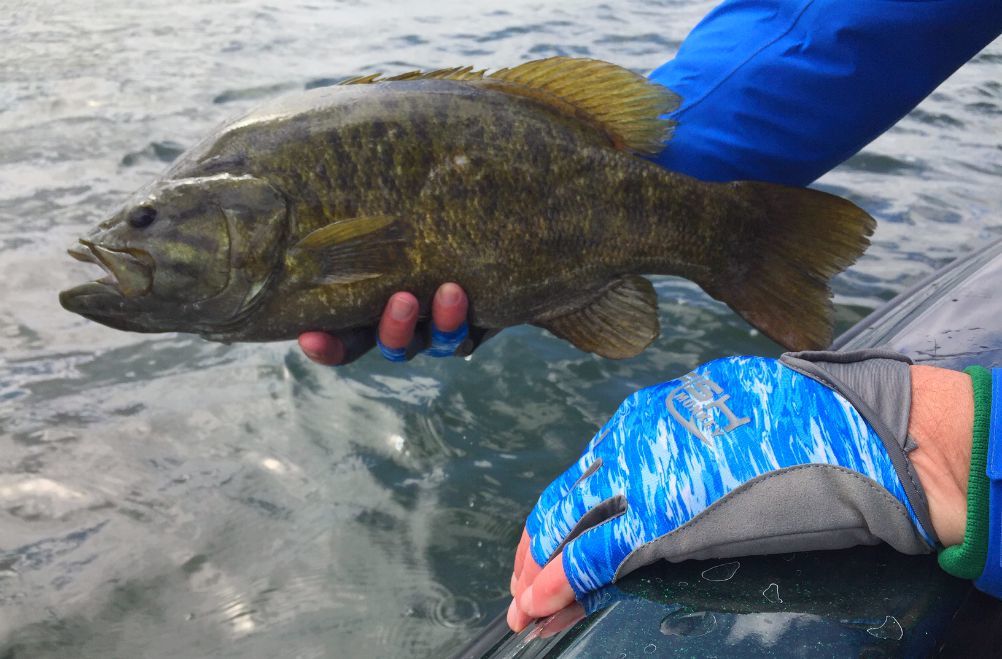 Review: Fish Monkey Gloves