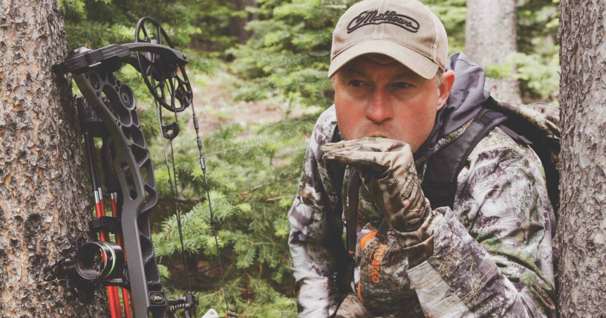 Tips for Calling Educated Elk on Public Land | Grand View Outdoors