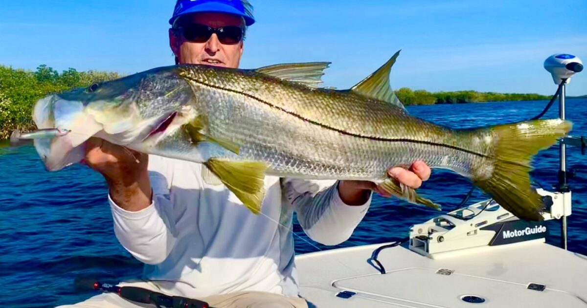 Swimjig Secrets for Florida Snook Grand View Outdoors
