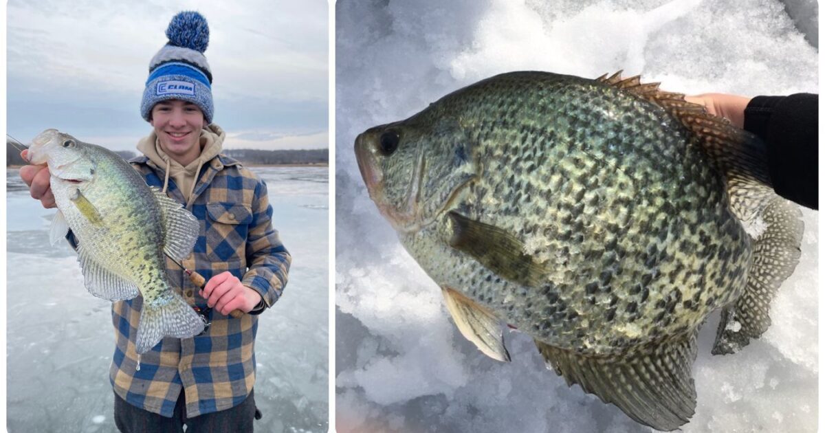 Ice Fishing Tip: Target Big Crappies With Big…