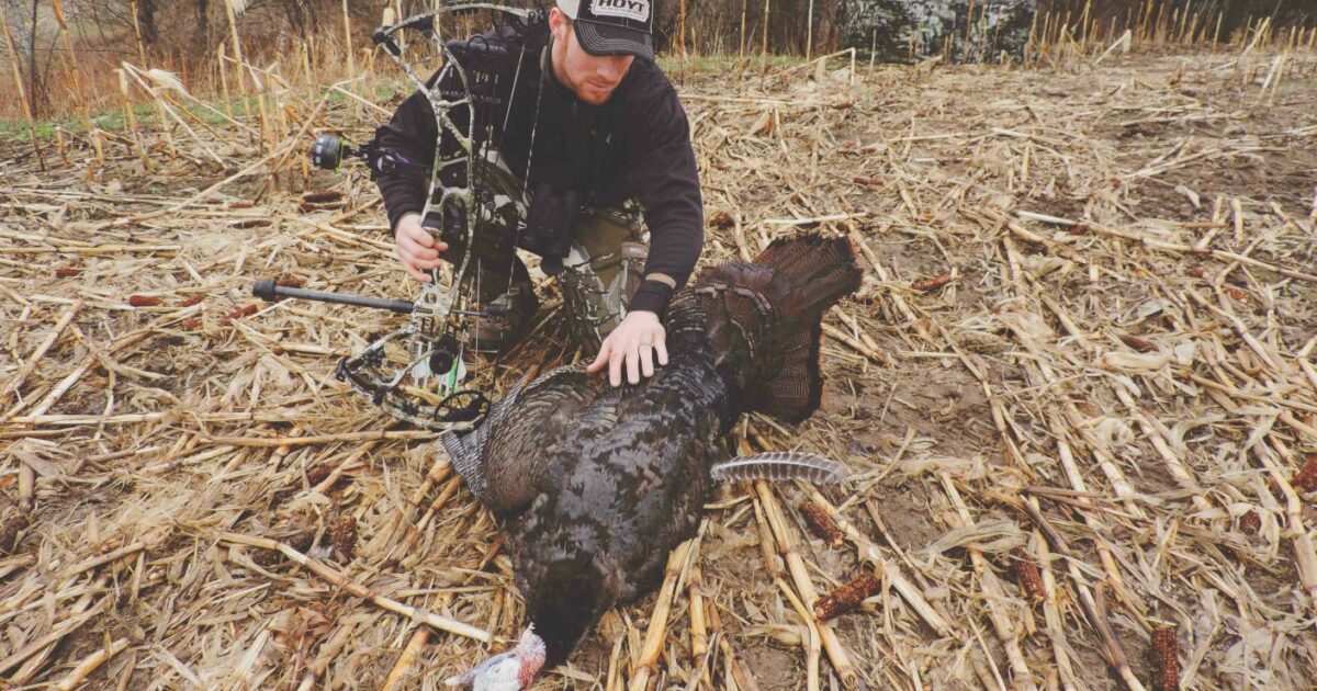 Bowhunting Turkeys Have A Plan For Body Shots Grand