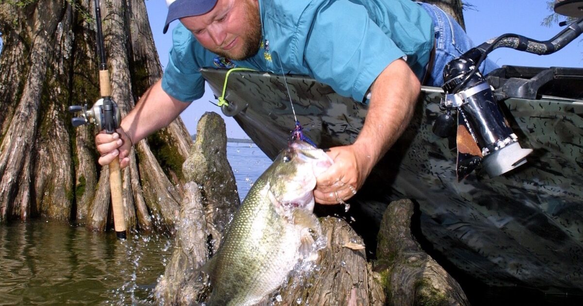 Help! Bearing replacement : r/bassfishing