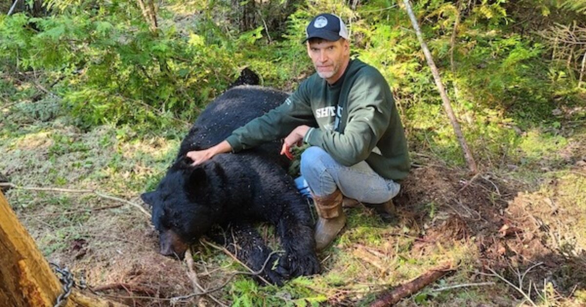 Trapping Ursus Americanus — Aka the Black Bear | Grand View Outdoors