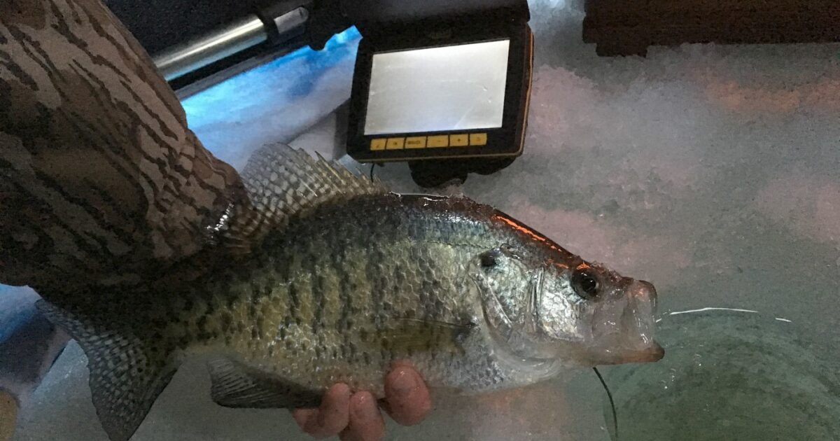 Ice Fishermen Is an Underwater Camera Right for Grand