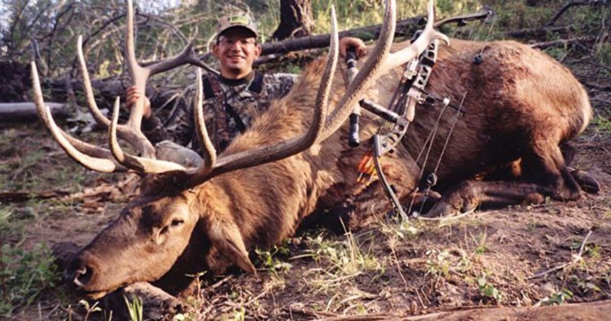Elk Kit Cow Call & Bull Elk Bugle Call Deer Archery Hunting 