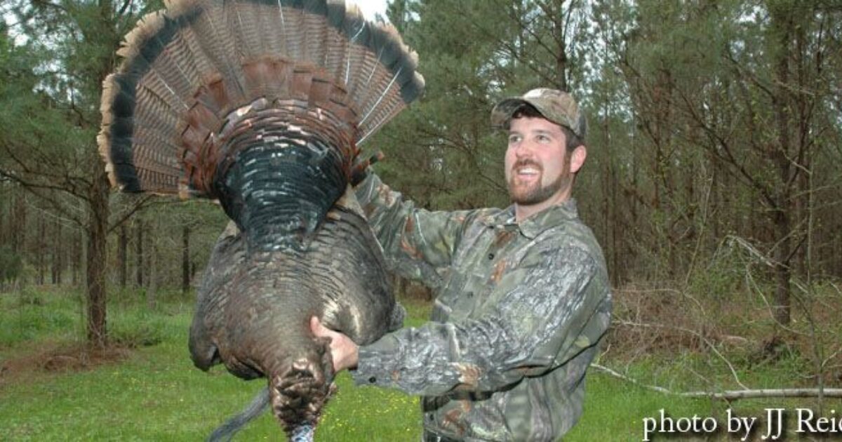 Lessons From A Turkey Hunting Guide Grand View Outdoors