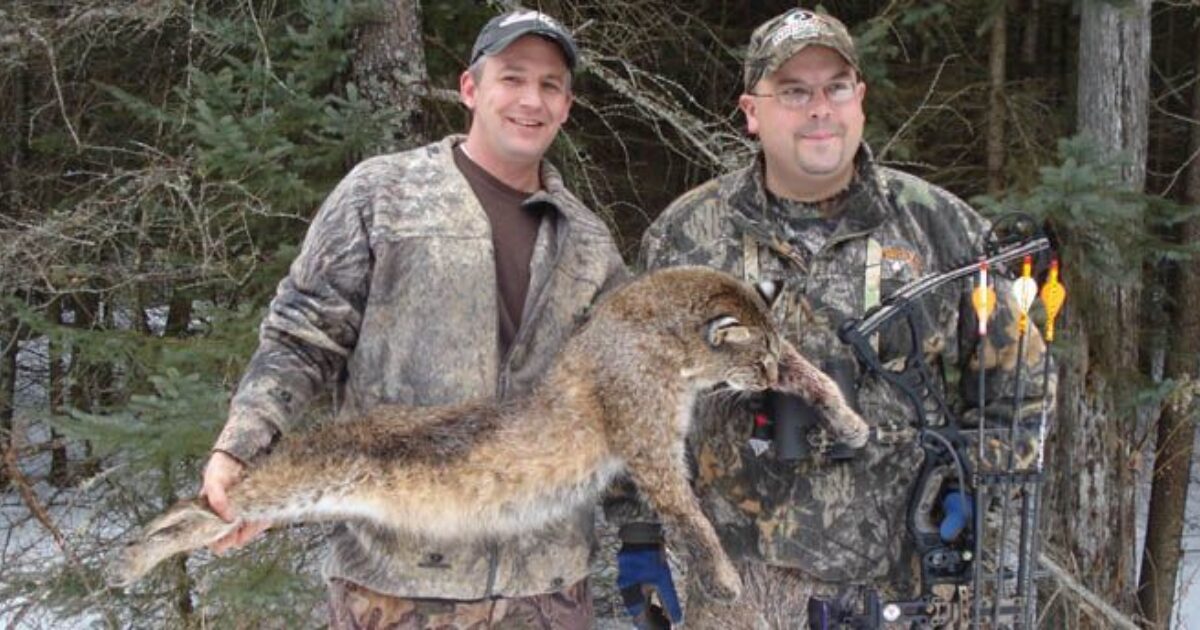 √ Michigan Bobcat Hunting Season Alumn Photograph
