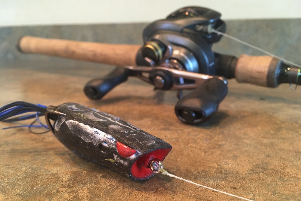 Frog Fishing for Bass: 15 Pro Tips