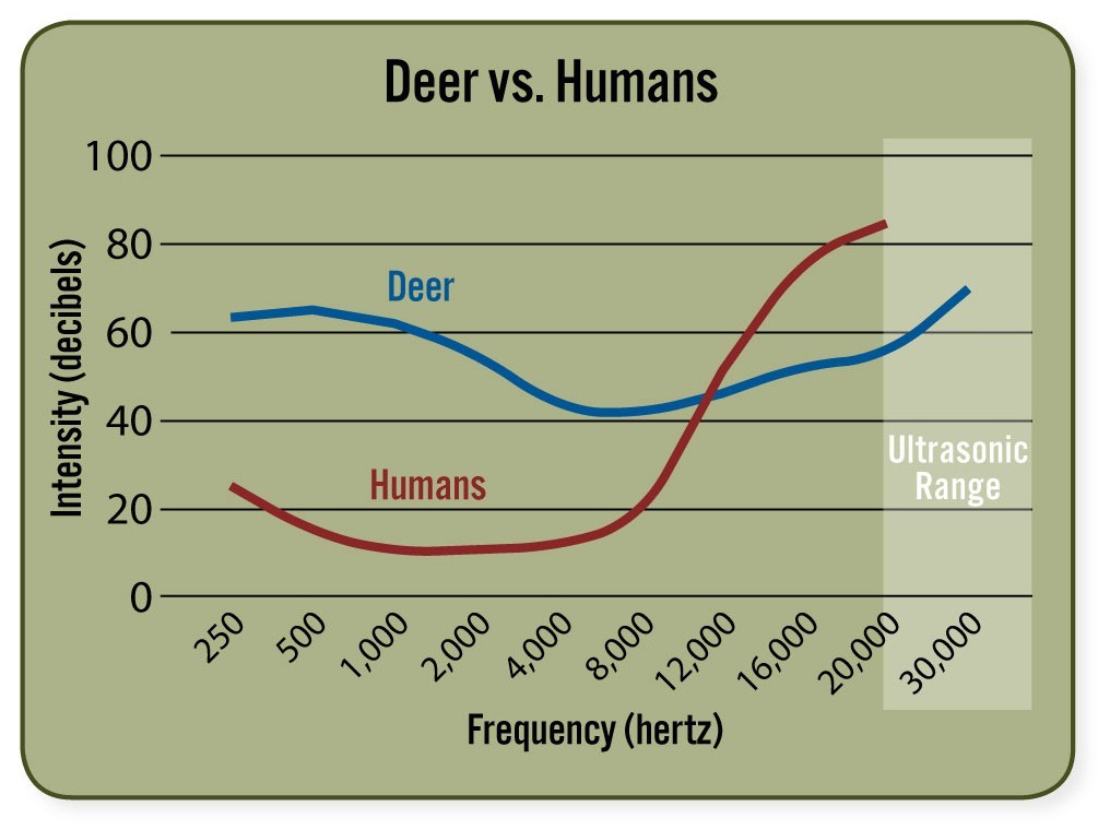 Deer Activity Chart
