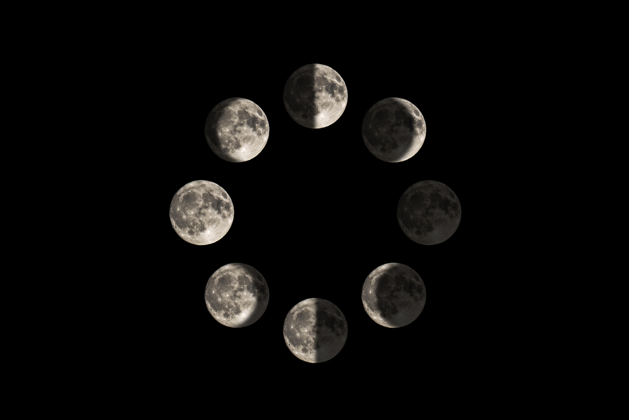 Deer Charts Moon Phases