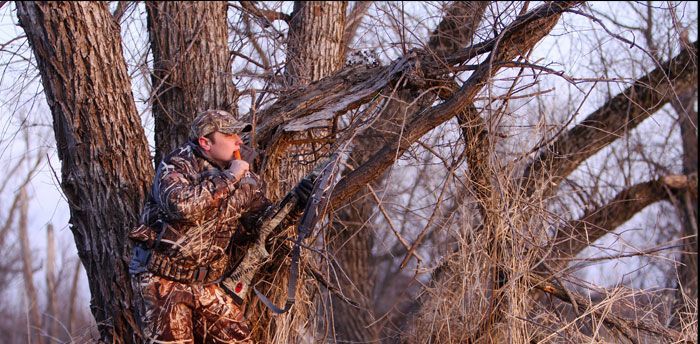 2018 Waterfowl Report: Breeding Population… | Grand View Outdoors