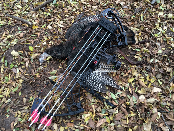 Turkey-bow
