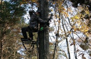 treestand safety tips