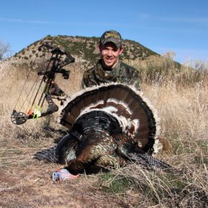 hunting Merriam turkeys