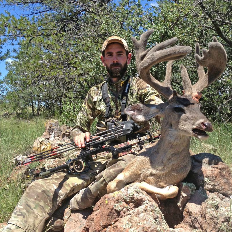 World's record Coues' deer